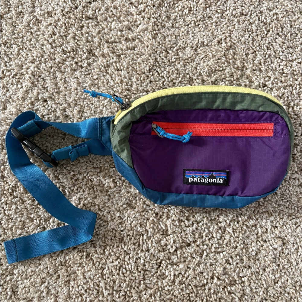 Patagonia Multicolor Waist Bag